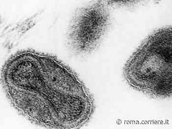 Vaiolo delle scimmie, sesto caso confermato dallo Spallanzani - Corriere Roma