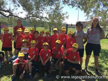Ululano "I lupi" sul diamante del Padule di Sesto Fiorentino - La Gazzetta di Lucca
