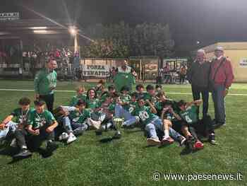 Sesto Campano – Calcio, i giovanissimi del Sesto campioni regionali - Paesenews