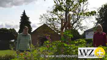 Kirchliche Friedhöfe in Vechelde – das ändert sich - Wolfenbütteler Zeitung