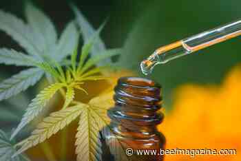 FDA warns four companies for selling CBD products for livestock