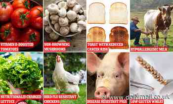 The gene-edited 'Frankenfoods' that could be hitting our shelves as soon as next year