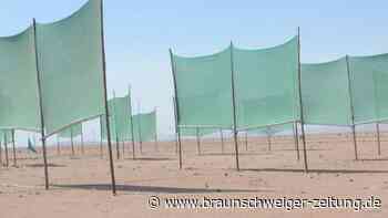 Wasserknappheit: Experten wollen andere Quellen Nutzen