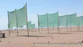 Wasserknappheit: Experten wollen andere Quellen Nutzen