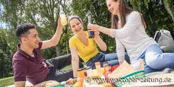 Picknick-Tage in Waltrop: Das Erfolgsrezept wird wiederholt - Waltroper Zeitung