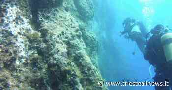 Dalle foreste al deserto (marino): UNITS in soccorso di Capri - Trieste News