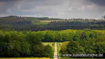 Forstwirtschaft - Braunschweig - Forst- und Umweltverbände uneins über Waldentwicklung - Wirtschaft - Süddeutsche Zeitung - SZ.de
