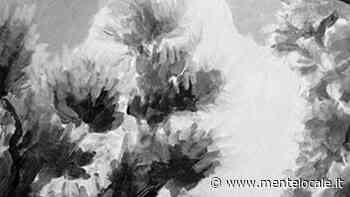 La guerra, nello sguardo di un bambino: incontro con Ala Bankroft - mentelocale.it