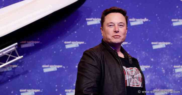 Musk Backs Gun Control: 'Assault Rifles' Should at Minimum Require Special Permit for 'Well-Vetted' People