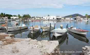 Llaman a pescadores libres de Ahome a registrarse para recibir apoyos - Debate