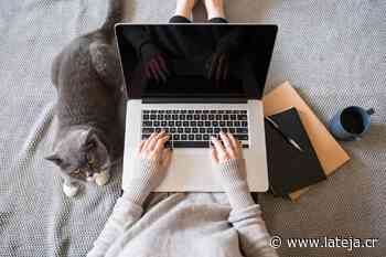 UNED ofrece más de 100 cursos libres y talleres - La Teja Costa Rica