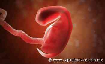 Colectivo “Mujeres, Libres y Soberanas” afirmó que decisión del aborto de la SCJN es peligrosa, irracional e ideologizada - Capital México