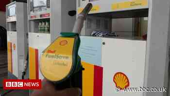 Shell consultant quits and accuses firm of 'extreme harms'