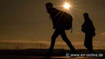 Human Rights Watch: Bulgarien nutzt Polizeihunde für illegale Abschiebungen