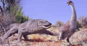 Controversial Ancient Eggs Were Property of 'Demon Ducks of Doom'     - CNET