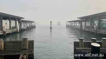 Live: NSW Now: Commuters to expect delays as blanket of heavy fog covers Sydney