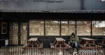 Alberta makes it easier for businesses to have dog-friendly patios