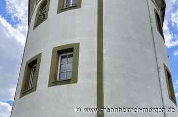 Profi-Kicker Lukas Rupp kauft Alten Wasserturm in Heidelberg - Heidelberg - Nachrichten und Informationen - Mannheimer Morgen