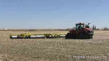 Seeding rises in Sask. despite recent snow and rain: crop report
