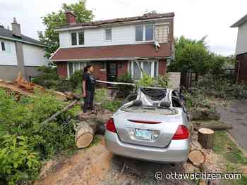 Stories from the storm: 'I saw my life flash before my eyes'