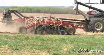 52% of Saskatchewan crops seeded, behind five-year average: report