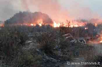 Prevenzione incendi estivi: divieti e obblighi nell’ordinanza sindacale - TraniViva