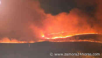 La Junta declara peligro medio de incendios forestales en Zamora durante el fin de semana - Zamora 24 Horas