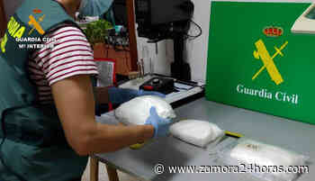 Aumentan los delitos de drogas en Zamora: casi 30 kilos de droga decomisados en lo que va de año - Zamora 24 Horas