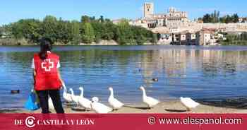 Zamora vuelve a movilizarse contra la basuraleza - EL ESPAÑOL