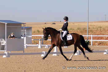Cita con la competición nacional de Doma Clásica en Zamora, Granada y Alicante - OcioCaballo