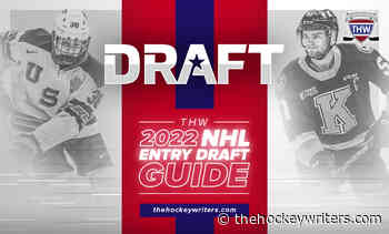 Brandon Lisowsky - 2022 NHL Draft Prospect Profile - The Hockey Writers