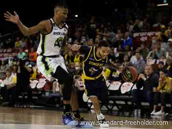 Edmonton Stingers begin defence of Canadian Elite Basketball League championships - Standard Freeholder