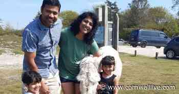 Dumped 'sex doll' mistaken for a dead body in Cornwall woods - Cornwall Live