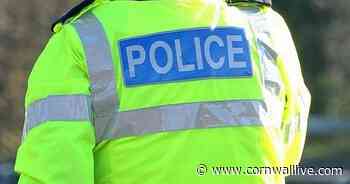 Devon and Cornwall Police criticised as 'useless' for telling people to contact council instead - Cornwall Live