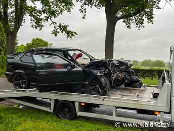 BMW botst op boom; politie net op tijd voor berging - WâldNet