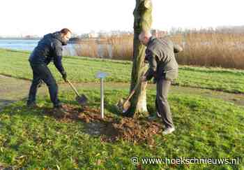 Na de boom nu 2e bordje weg bij Koningin Beatrix boom - Hoeksche Waard Nieuws