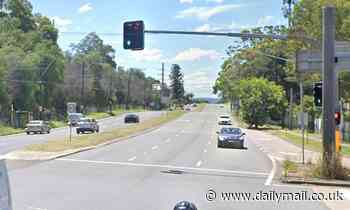 Sabat Abdul Massih hit by truck on highway in south-west Sydney - Daily Mail