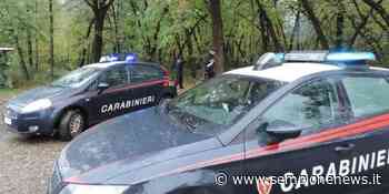 Lainate, arrestato il boss del "boschetto della droga" - Sempione News