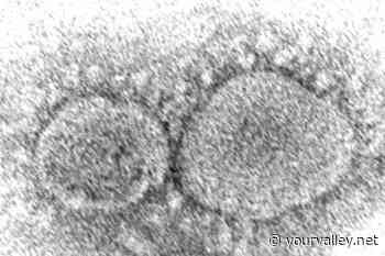 Dominant coronavirus mutant contains ghost of pandemic past - Daily Independent