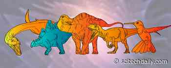 Hot-Blooded or Cold-Blooded? Chemical Clues Solve One of the Oldest Mysteries in Paleontology