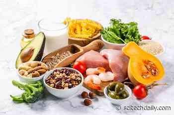 Science Shows a Healthy Diet Significantly Reduces Depression