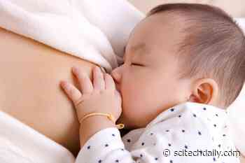 Breastfeeding for Longer Associated With Improved Cognitive Scores