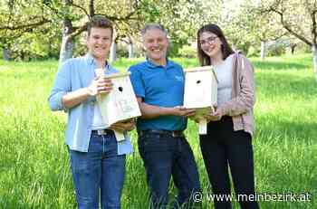 Woche der Artenvielfalt: 70 Nistkästen für Singvögel an Fachschule Warth gebaut - meinbezirk.at