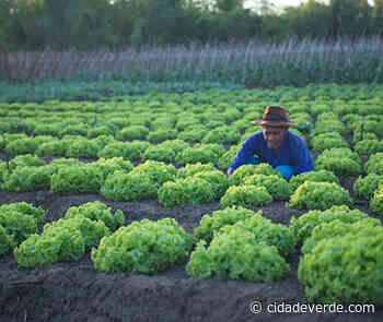 Feira do Trabalhador Rural de Timon reunirá produtores e itens agroecológicos - Cidade Verde