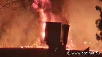 Coroner finds SA's snap border closure was not a factor in a fiery fatal truck crash