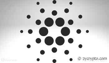 Famed Bitcoin Enthusiast Max Keiser Hints That Cardano’s ADA Could Be Next To Collapse After LUNA - ZyCrypto