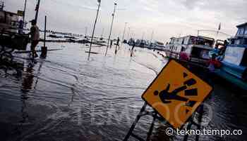 Deretan 3 Kota Besar Rawan Banjir Rob - Tekno Tempo