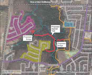Newmarket advancing new trail connection in northwest corner - NewmarketToday.ca