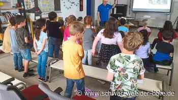 Tiere in Schramberg - Neue Gefahr für die Störche – der Mund-Nasen-Schutz - Schwarzwälder Bote