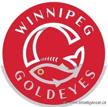 Goldeyes fall to Canaries - Belleville Intelligencer